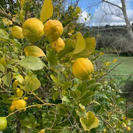 Agriresort Bentivoglio