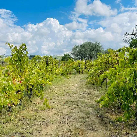 Oda ve Kahvaltı Agriresort Bentivoglio 4*