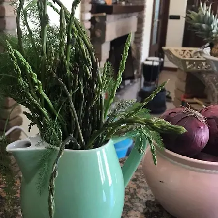 Oda ve Kahvaltı Agriresort Bentivoglio