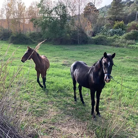 Agriresort Bentivoglio