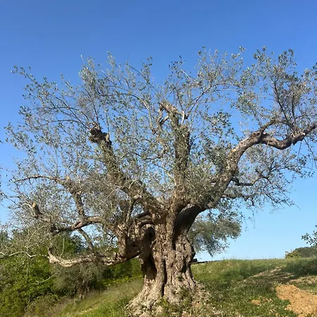 Oda ve Kahvaltı Agriresort Bentivoglio