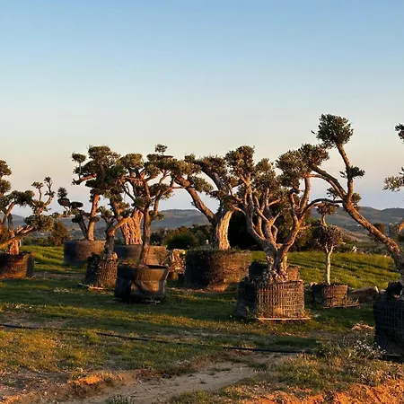 Oda ve Kahvaltı Agriresort Bentivoglio Piazza Armerina