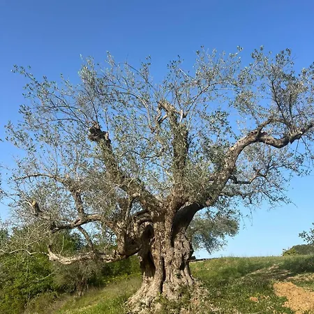 Agriresort Bentivoglio